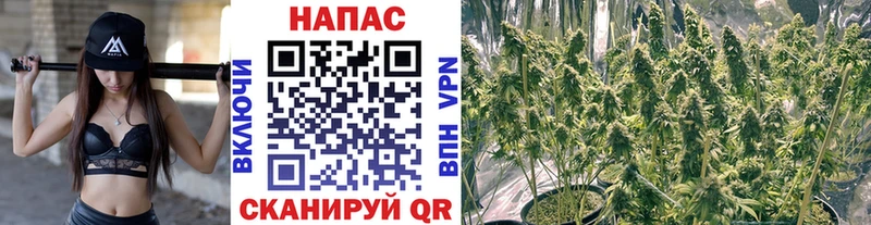 Где найти наркотики Няндома МДМА  Каннабис  КОКАИН  Кетамин  Alpha PVP 