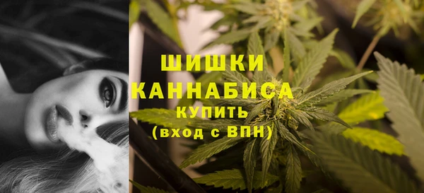 стафф Дмитров