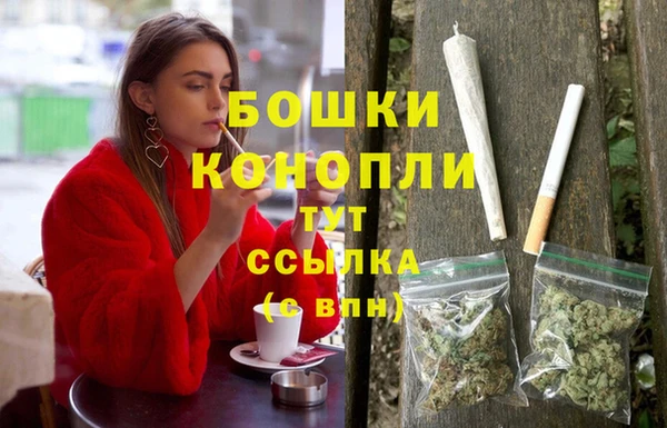 шишки Дмитриев