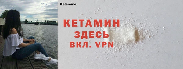 шишки Дмитриев