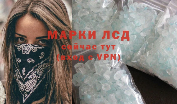 стафф Дмитров