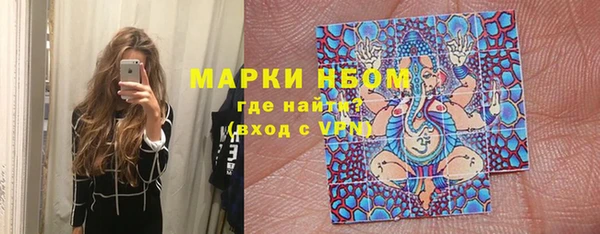 шишки Дмитриев