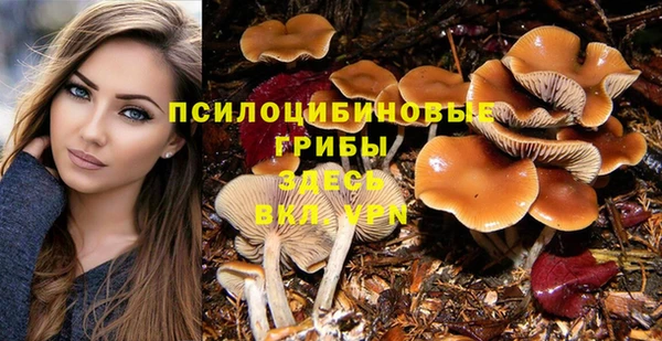 шишки Дмитриев