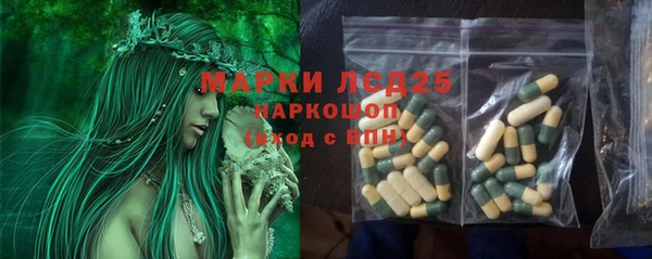 стафф Дмитров