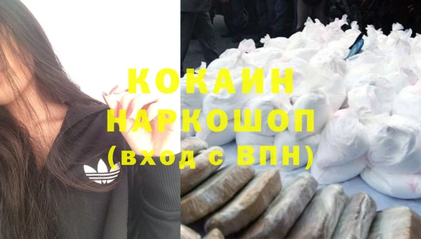 шишки Дмитриев
